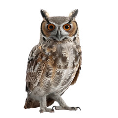 Fototapeta premium A large owl with bright orange eyes stands on a white background, 3D illustration, Halloween, Clipart, 3d render, isolate on a transparent background.
