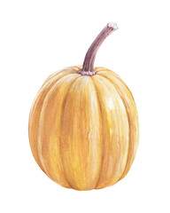 Watercolor yellow pumpkin illustration, autumn card