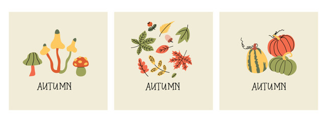 Set of three color autumn illustrations. Hand drawn various pumpkins, mushrooms and leaves. Flat design. Greeting Cards.