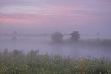 morning mist over the river