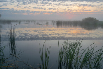 morning on the river