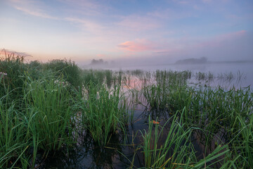 misty morning on the river