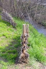 Uferschutz an der Rodau