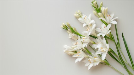  a frame of flower isolated background