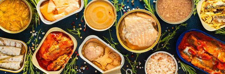 A top view of open tin cans with canned salmon, mackerel, sprat, sardine, tuna, herring, and fish pate, surrounded by spices and herbs on a blue background, banner