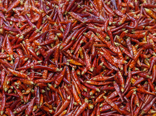 red dry chili pepper as food background