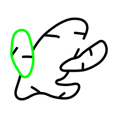 Herbal Medicine Dual Tone