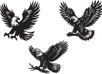 American eagle bundle with vector silhouette art of illustration.