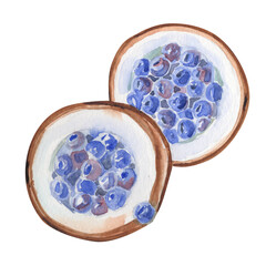 Watercolor hand-drawn illustration with coconut and blueberry. Tropical fresh dish. 