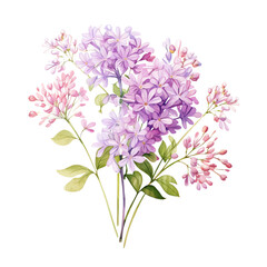 Fototapeta premium A beautiful bouquet of delicate pink and purple flowers with green foliage, perfect for botanical illustrations and nature-themed designs.