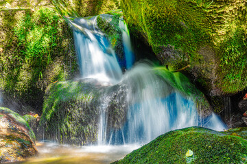 Naklejka premium Mystic wilderness and breathtaking beauty of nature in Stillensteinklamm near Grein in Upper Austria