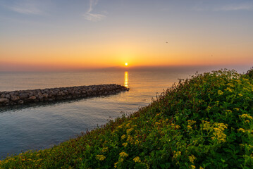 Fototapeta premium Amanecer idílico en la costa rocosa, con olas suaves acariciando la orilla.