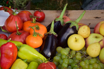 Autumn harvest fruits and vegetables