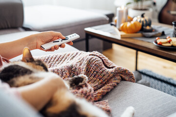 No face woman with plaid selecting movie with remote controller and stroking multicolored cat pet on the sofa. Movie night party at home with sweets and hot drinks. Cozy relax time. Selective focus.