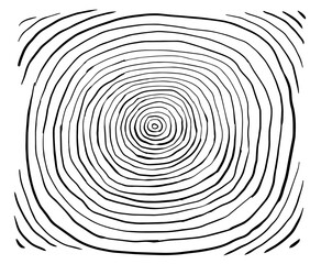 Line art hand drawn illustration