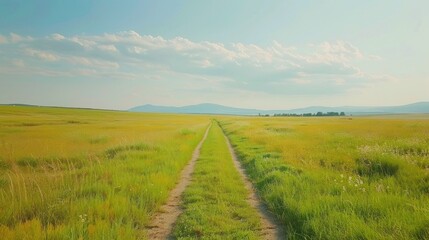 Open field with a path leading to the horizon