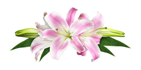 Fototapeta premium Pink lily flowers in a floral arrangement isolated on white or transparent background. Top view.