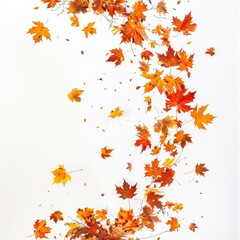 Autumn Falling Maple Leaves. Vibrant, Colorful, and Airy. AI generated image white background or wallpaper