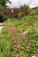 Obraz premium garden with flowers