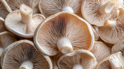 Artistic close-up of fresh champignon mushrooms, highlighting their intricate details and textures