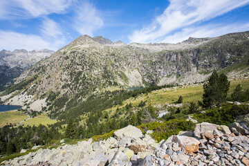 Summer landscape in Vall de Boi in Aiguestortes and Sant Maurici National Park, Spain