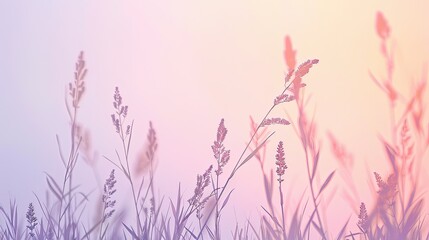 Serene Pastel Peach and Lavender Gradient Background for Relaxation and Tranquility