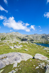 Summer landscape in Vall de Boi in Aiguestortes and Sant Maurici National Park, Spain