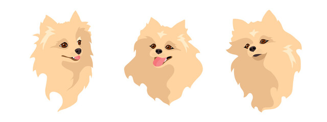 Spitz dog. Set of the isolated vector illustrations on white background