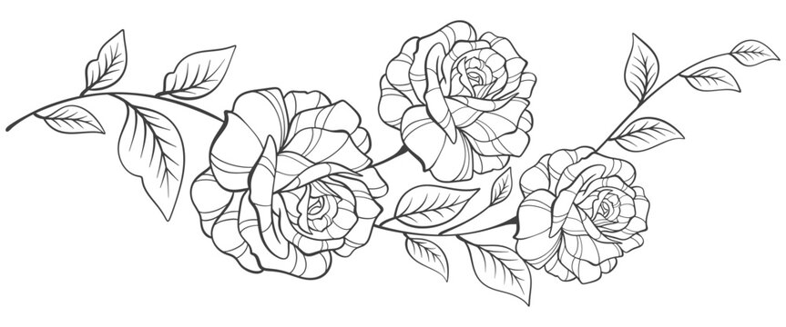 black and white outline of rose flowers vector illustration