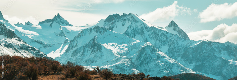 Poster patagonia