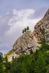 Three lonely coniferous trees grow on top of a cliff. Dolomites, South Tyrol, Italy