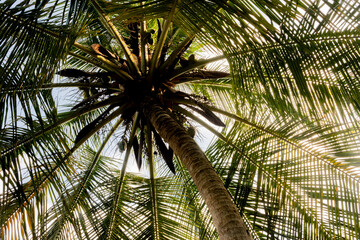 Fototapeta premium 2024-Colombie-2601