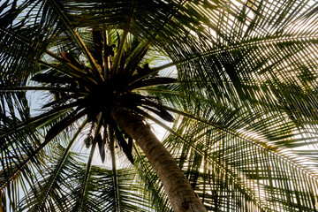 Fototapeta premium 2024-Colombie-2602