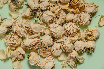 A bed of withered rose heads lies scattered