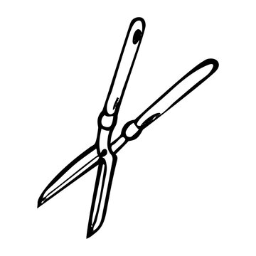 recommend clip art: Garden scissors for trimming trees hand drawn in doodle style. Hobby gardening. Branch pruning tool. Topiary art. Vector line art illustration.