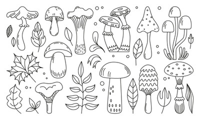Hand drawn mushroom. Forest mushrooms leaves linear elements. Autumn seasonal doodle objects. Toadstools fly agaric flat neoteric vector set