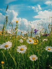 A lush field filled with bright yellow sunflowers and delicate white daisies