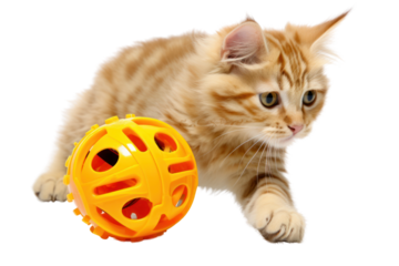 motorized cat toy ball that rolls and wiggles to entice playtime, isolated on white background