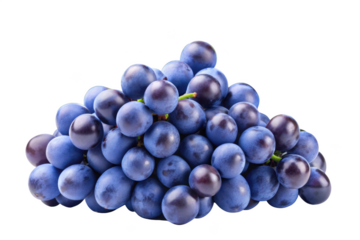 Blue grapes collection