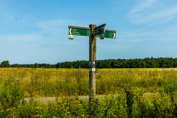 Ein herrliche Wanderung durch die einzigartige und farbenfrohe Landschaft der Behringer Heide - Bispingen - Niedersachsen - Deutschland