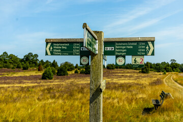 Ein herrliche Wanderung durch die einzigartige und farbenfrohe Landschaft der Behringer Heide - Bispingen - Niedersachsen - Deutschland