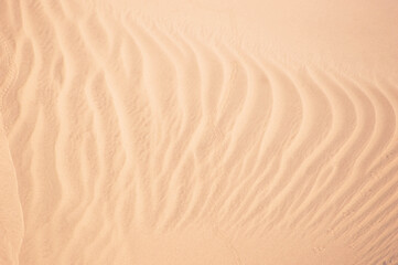 sand dunes in the desert