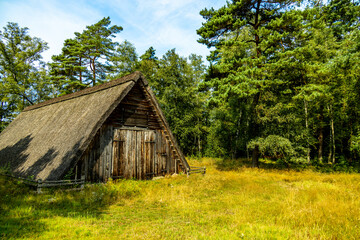 Ein herrliche Wanderung durch die einzigartige und farbenfrohe Landschaft der Behringer Heide -...
