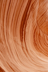 Closeup of the eroded wall of a sandstone cliff