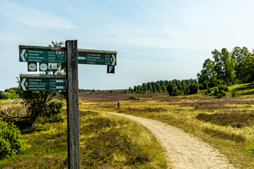 Ein herrliche Wanderung durch die einzigartige und farbenfrohe Landschaft der Behringer Heide - Bispingen - Niedersachsen - Deutschland