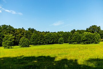 Ein herrliche Wanderung durch die einzigartige und farbenfrohe Landschaft der Behringer Heide - Bispingen - Niedersachsen - Deutschland