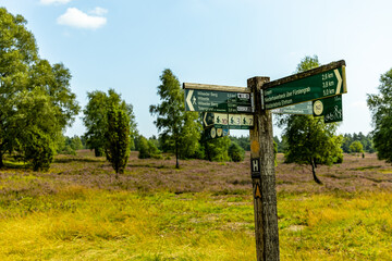 Ein herrliche Wanderung durch die einzigartige und farbenfrohe Landschaft der Behringer Heide - Bispingen - Niedersachsen - Deutschland