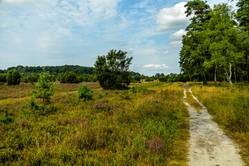 Ein herrliche Wanderung durch die einzigartige und farbenfrohe Landschaft der Behringer Heide -...
