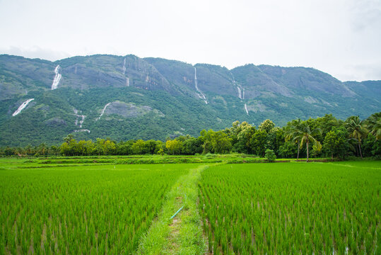 Scenic Kollengode Village with Nelliyampathy Mountains and Seetharkundu Waterfalls
