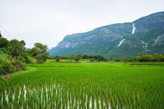 Scenic Kollengode Village with Nelliyampathy Mountains and Seetharkundu Waterfalls